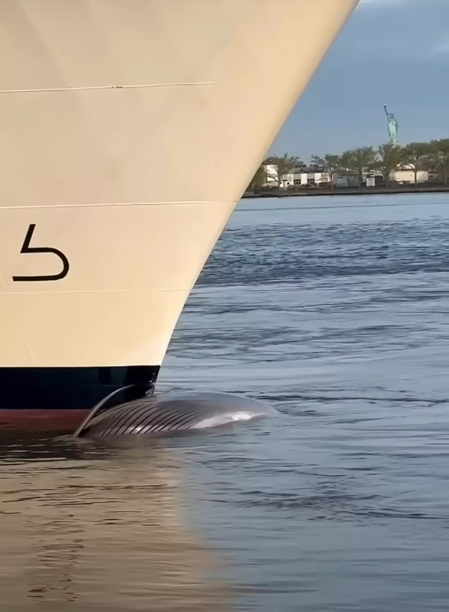 The whale on the bow of the ship. (YouTube / Pablo Santa Cruz)