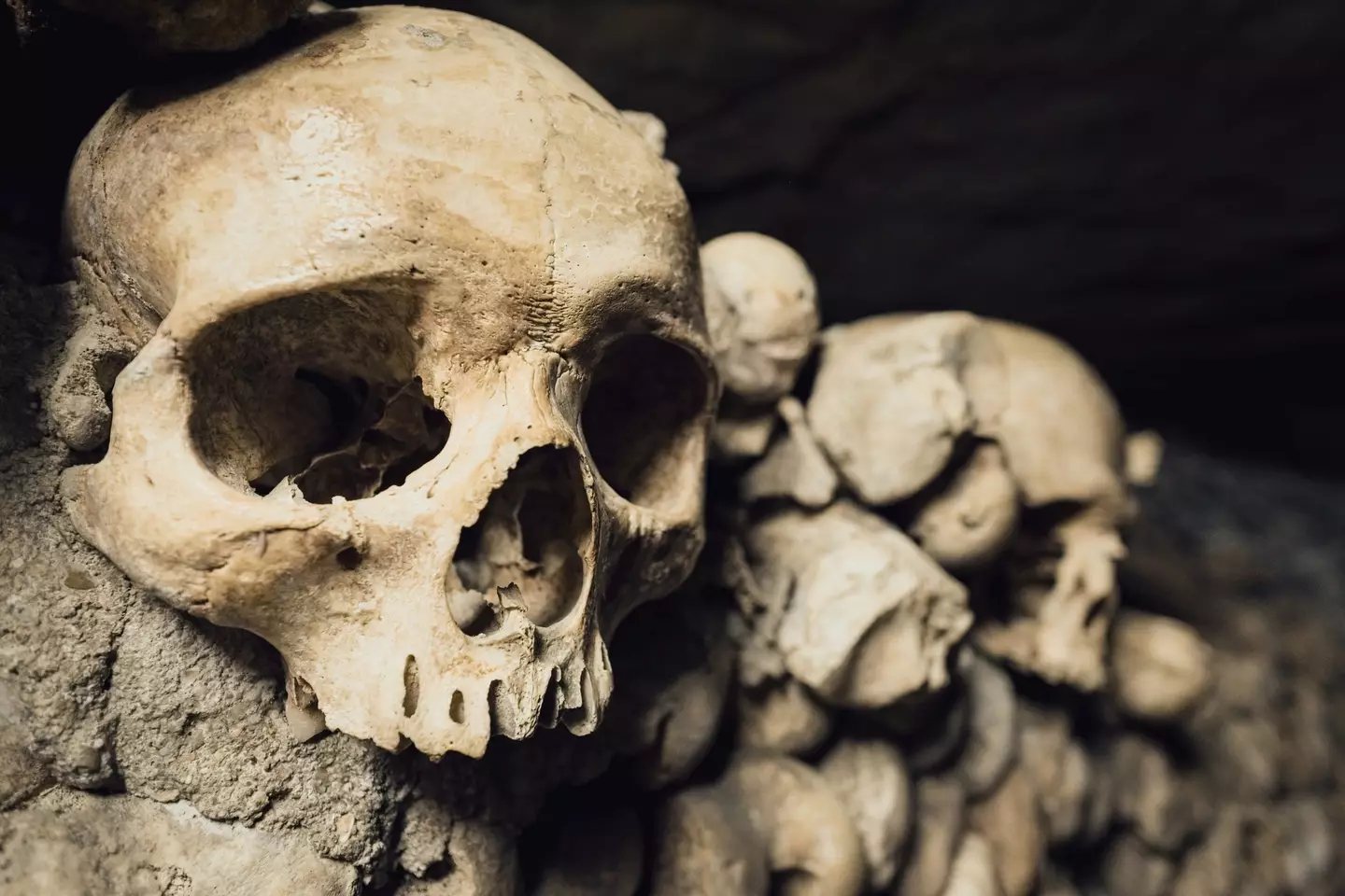 Paris' catacombs aren't for the faint of hearted. (Getty Stock Image)