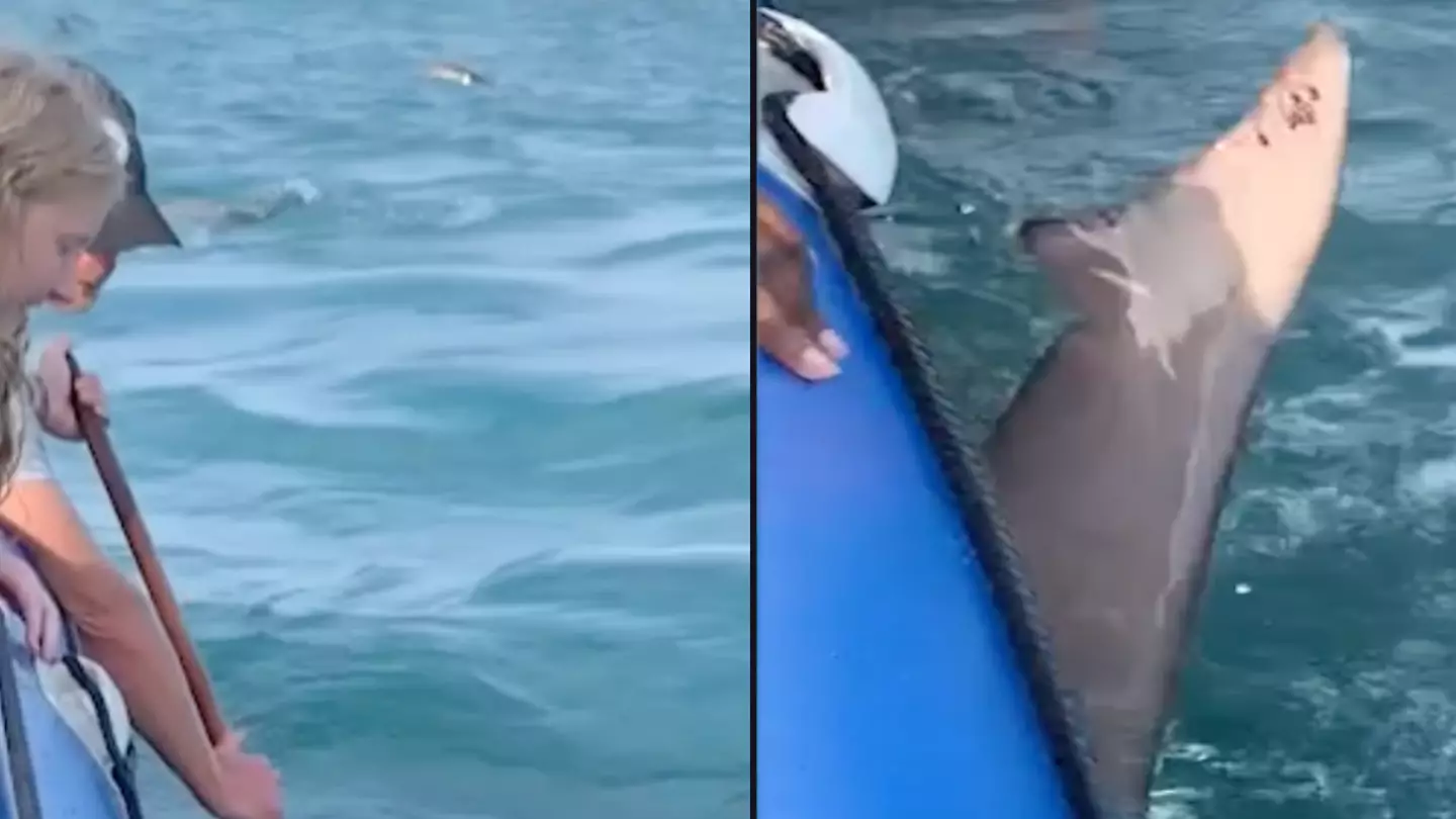 Terrifying moment shark bites and deflates boat full of people