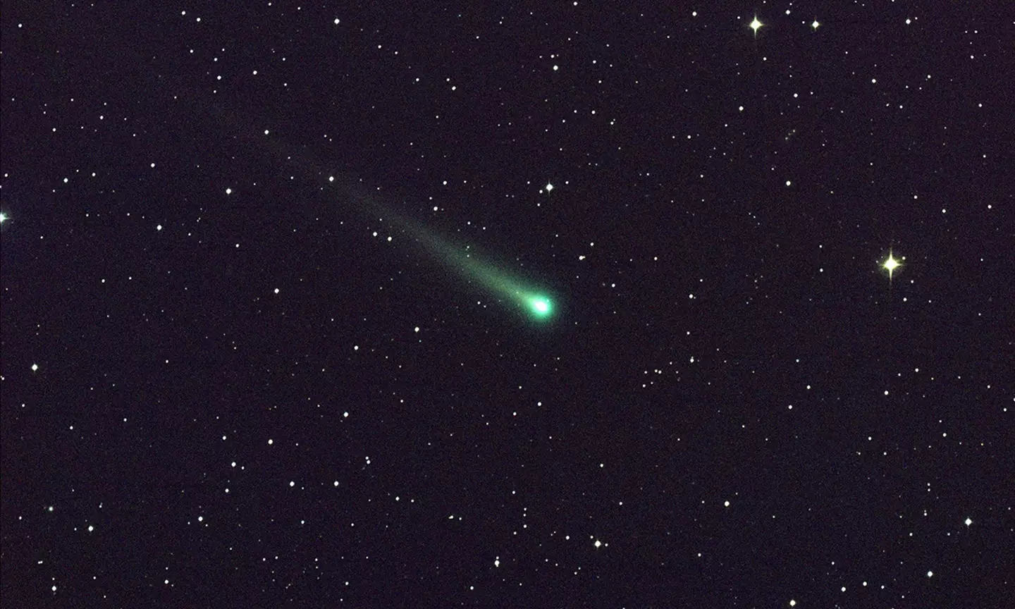 A green-tailed comet.