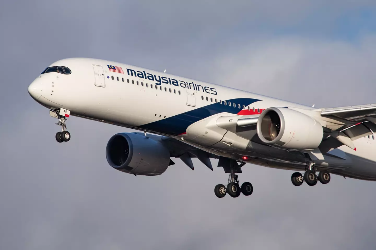 The MH370 plane has been missing for over nine years.