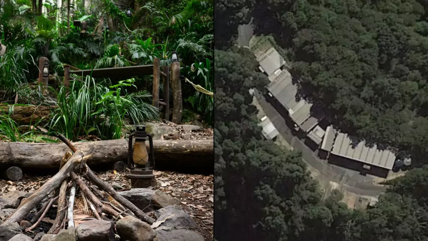 I'm A Celebrity camp has fake jungle and roof over it