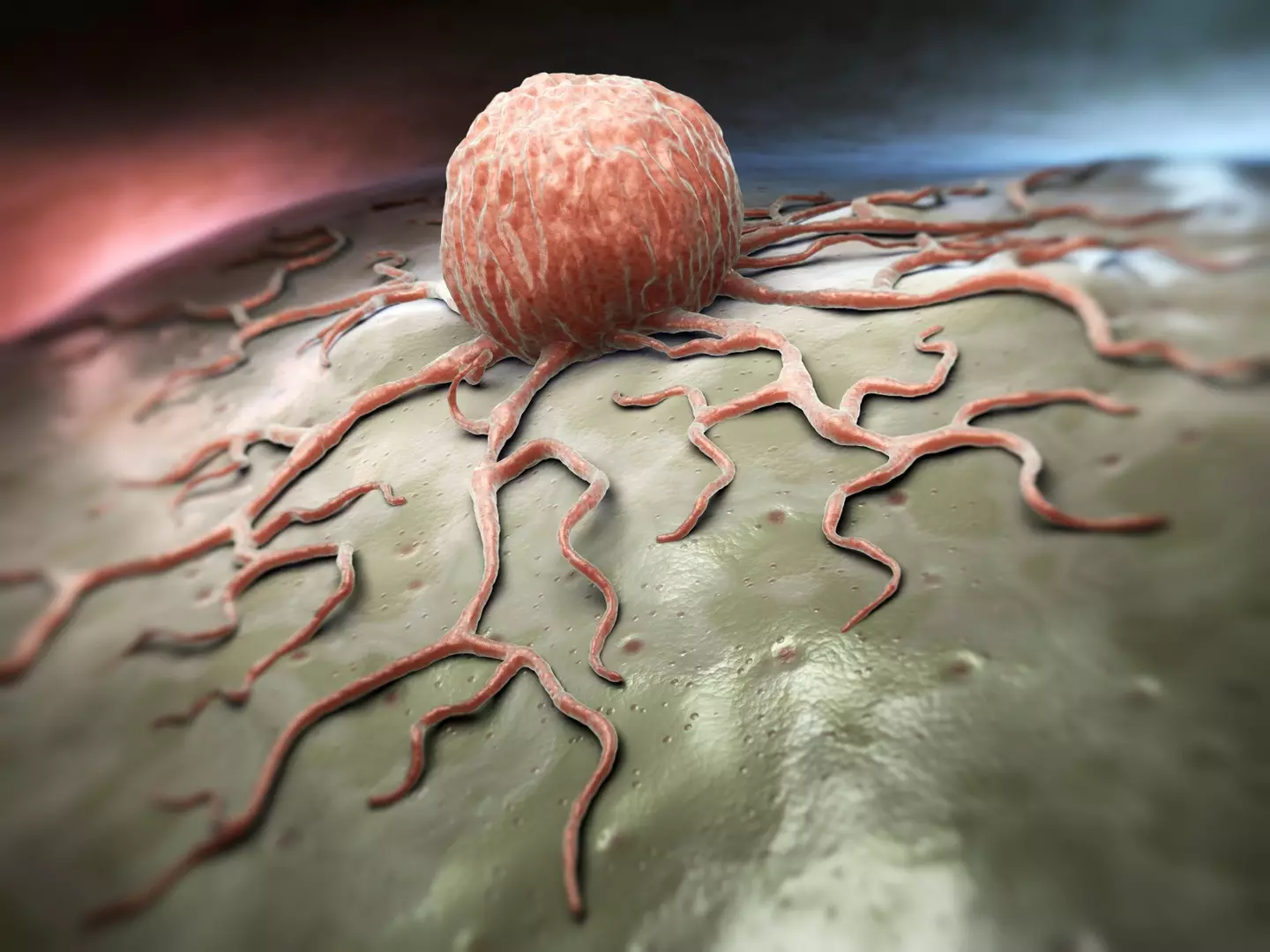 Close-up view of a cancer cell.