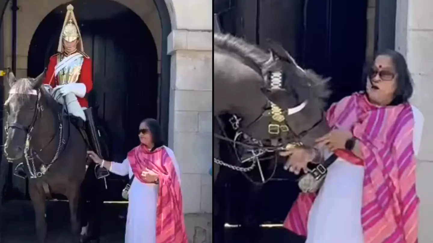 King's Guard horse bites tourist after she touched animal while posing for photo