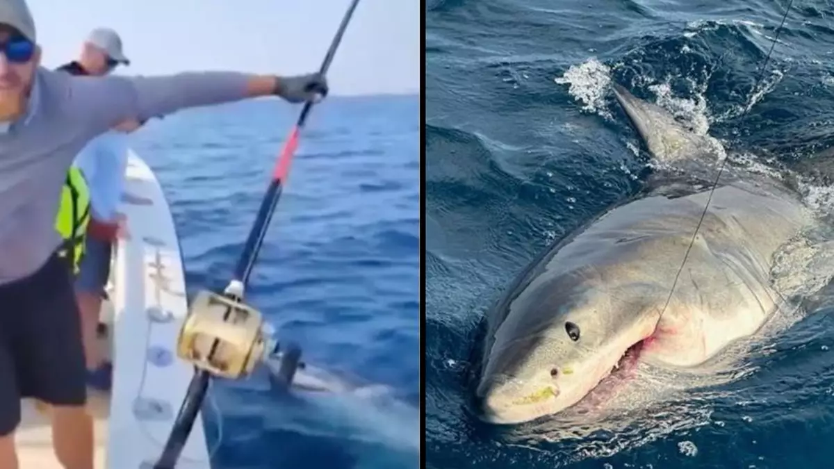 Family on holiday left stunned after fishing trip sees them reel