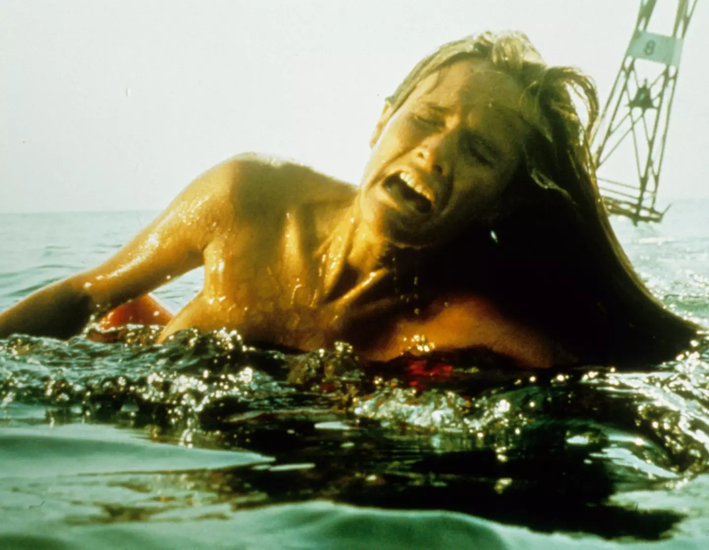 Jaws is among the horror films to have been nominated for Best Picture.