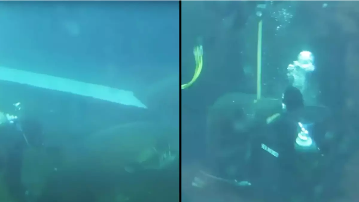 Harrowing moment man is attacked by shark at aquarium as tank