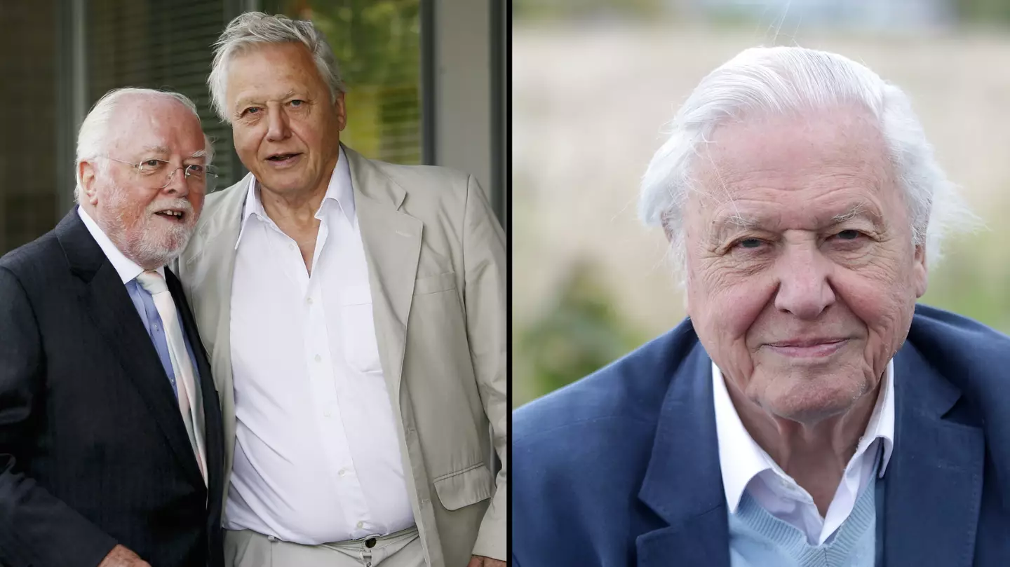 David Attenborough had regret over famous brother Richard's career ...