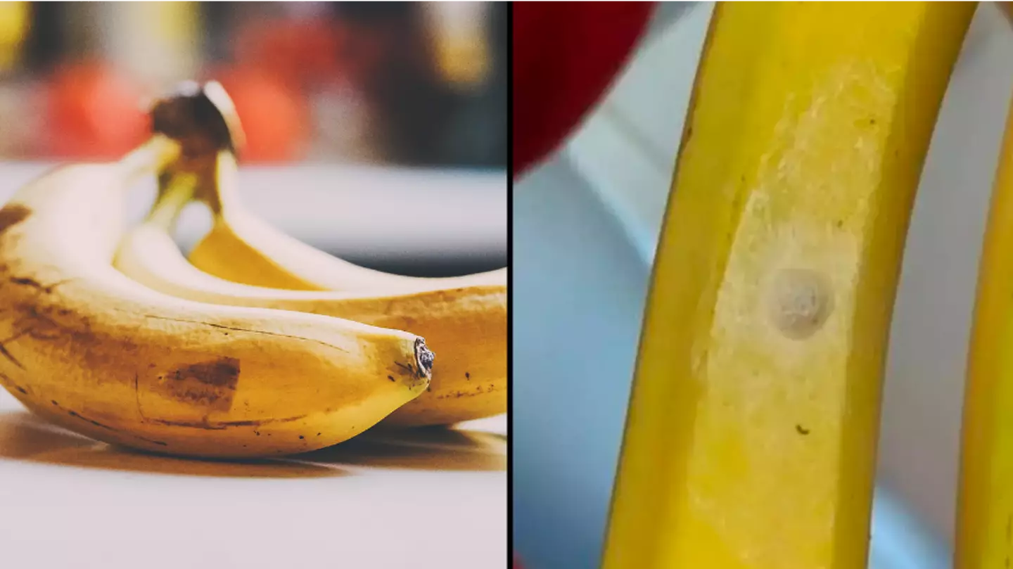 Alarming warning given as shopper spots tiny dots on banana