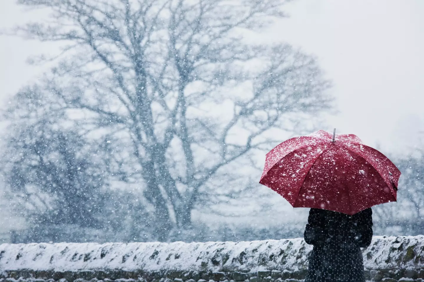 The Met Office has warned that parts of Britain will be hit with sleet and snow - as Saturday is expected to be the coldest night of the year so far, with first sub-zero temperatures.