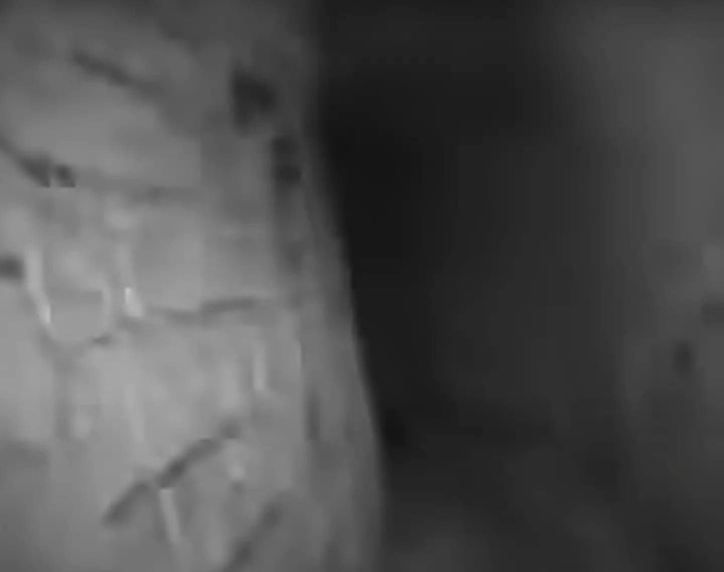 The found footage showed someone running through the Paris Catacombs. (ABC)