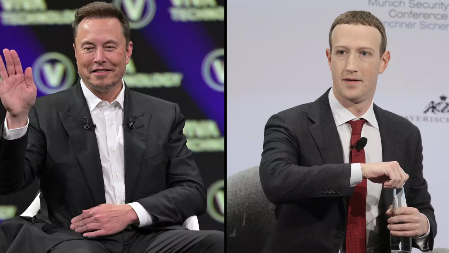 Elon Musk labels Mark Zuckerberg a 'cuck' ahead of cage fight