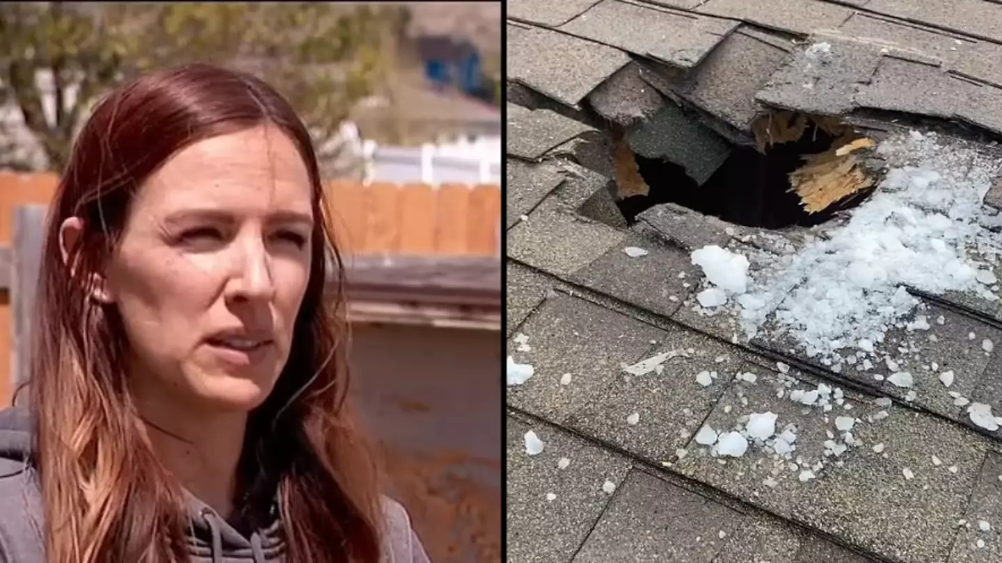 Woman devastated after huge chunk of ice falls from plane and causes tragedy