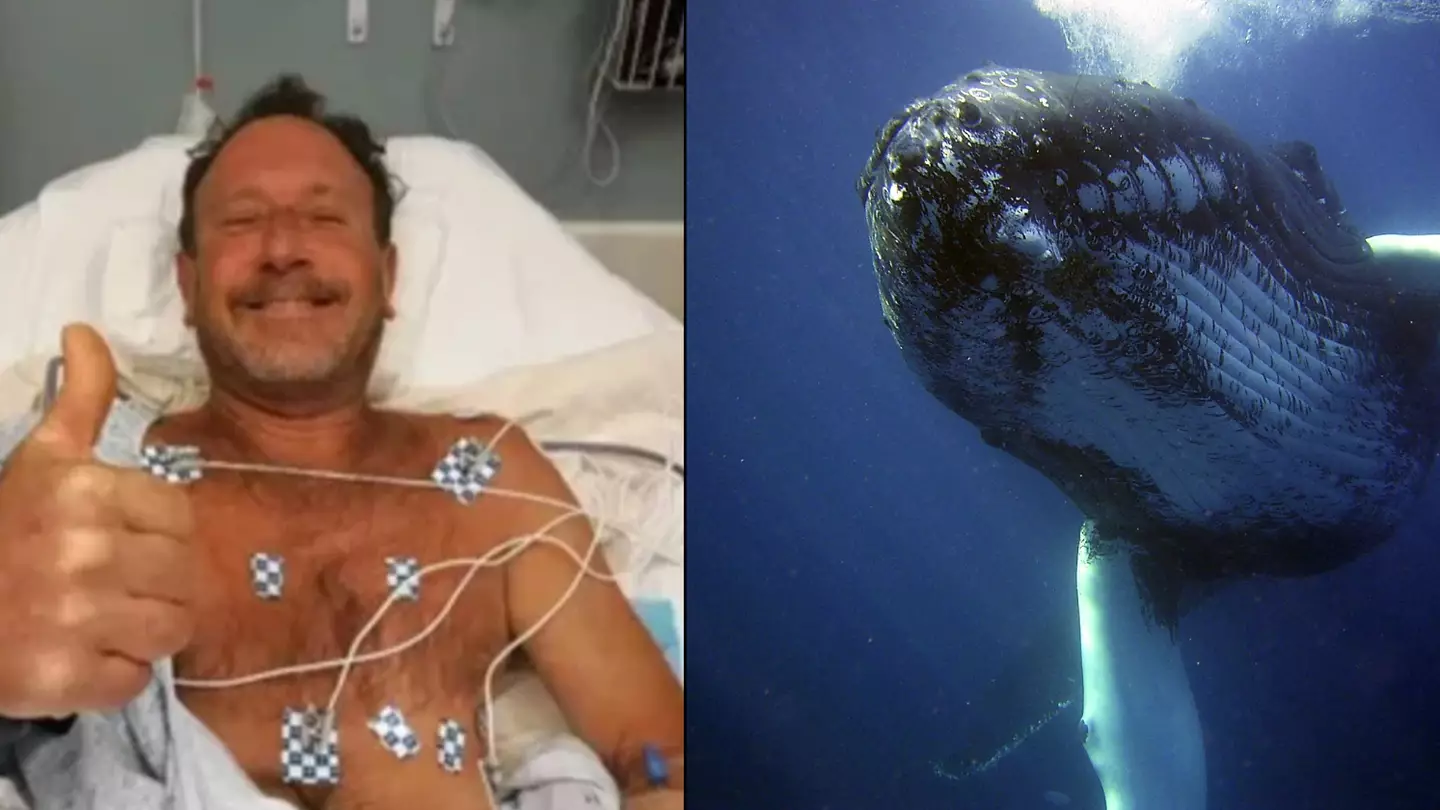 Man Swallowed Whole By Whale Says It Wasn't Even The Scariest Thing To Happen To Him