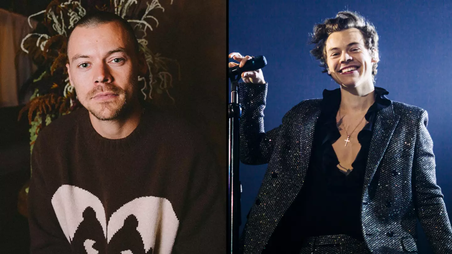 Harry Styles debuts his new shaved head and fans are divided