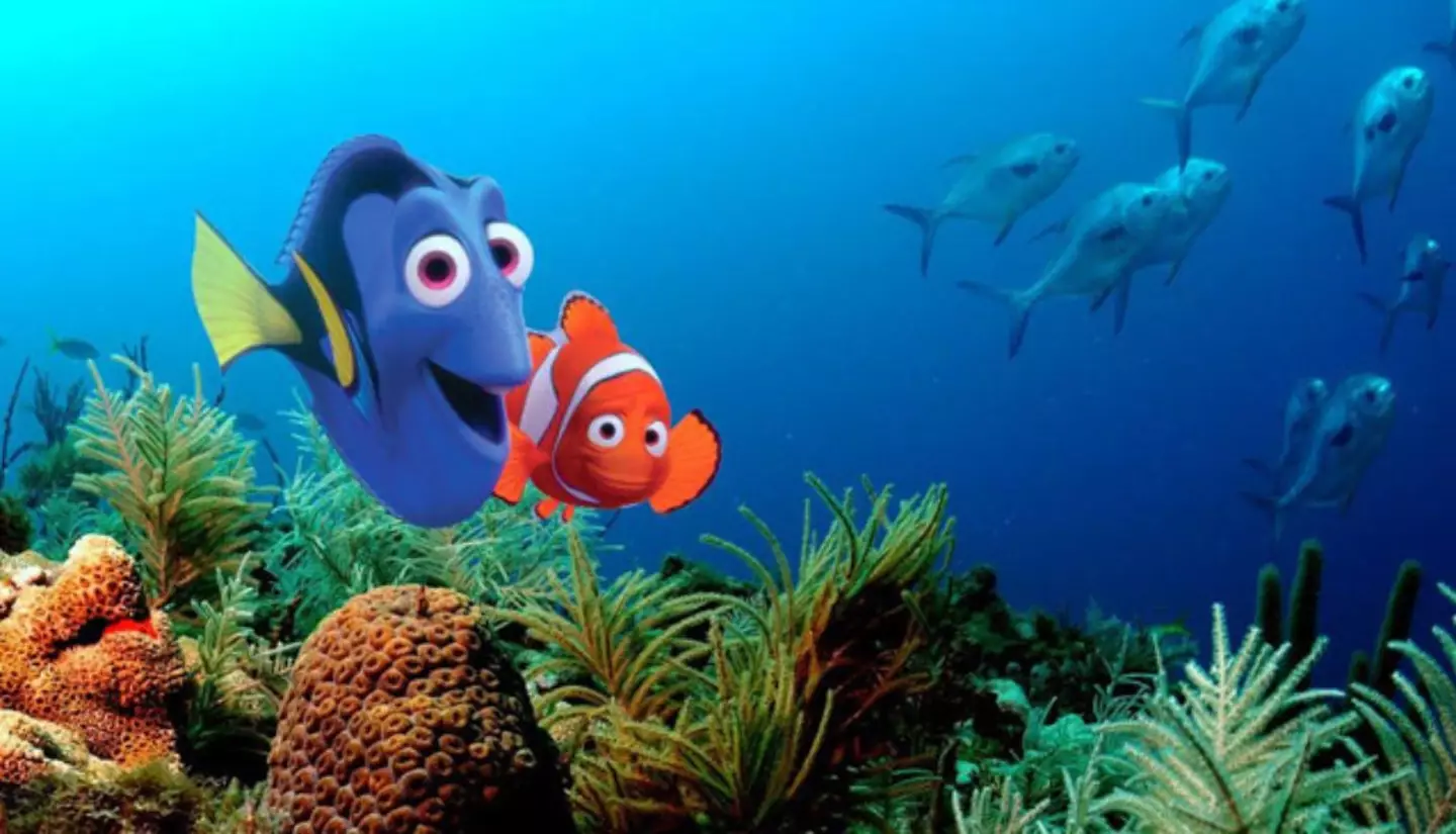Finding Nemo hit cinemas in 2003. (Walt Disney Pictures)
