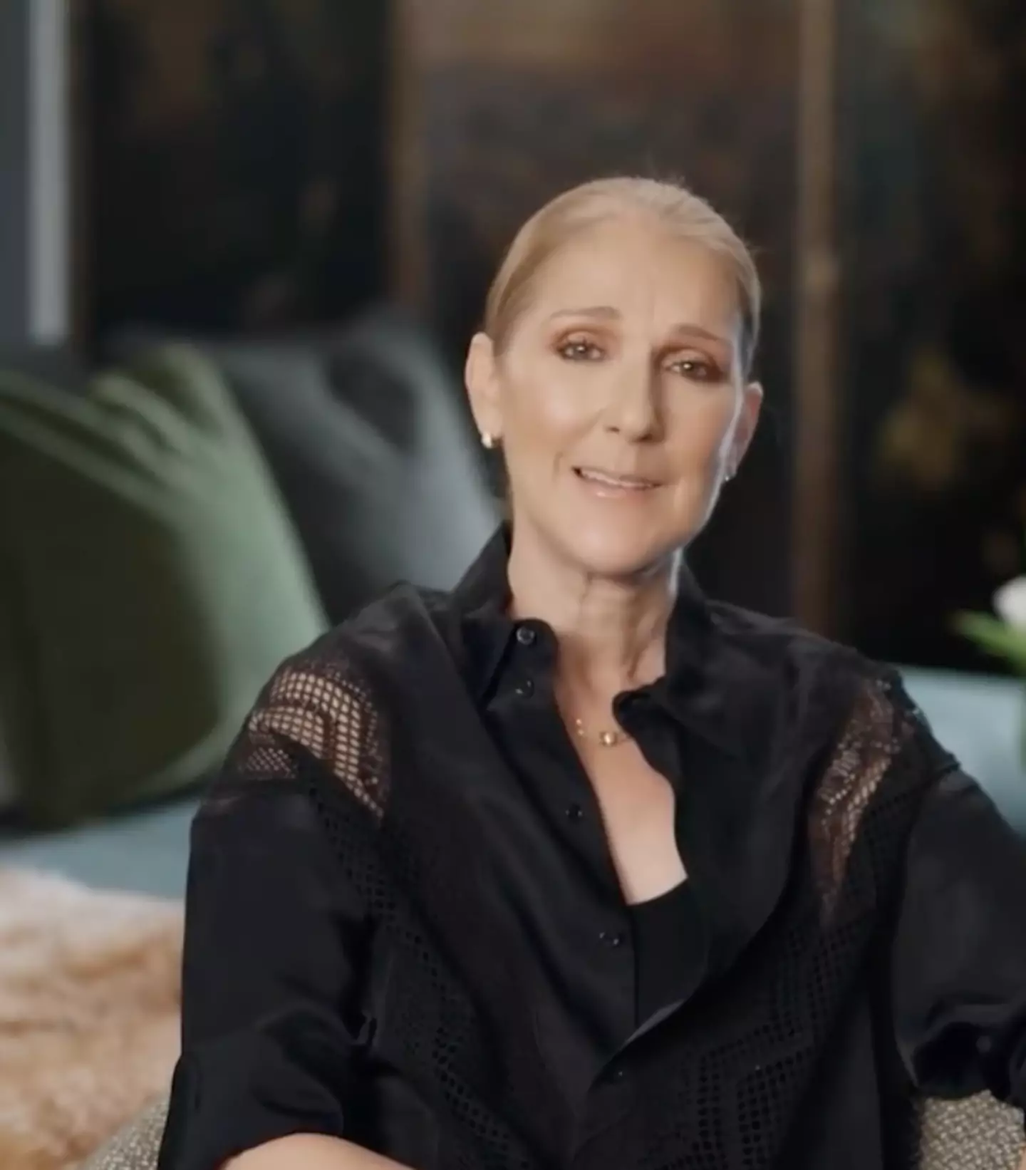 Celine Dion disclosed she had been diagnosed with 'Stiff Person Syndrome' last year.