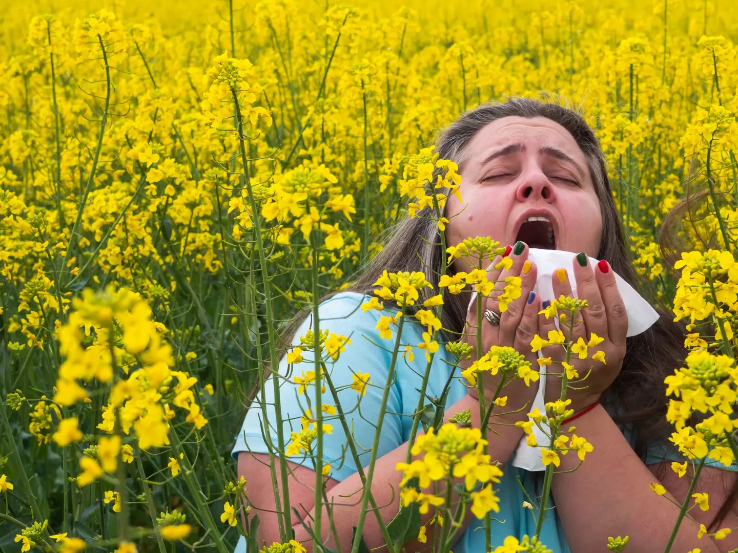 Sneezing hell is a common symptom of hay fever (Getty Stock Images)