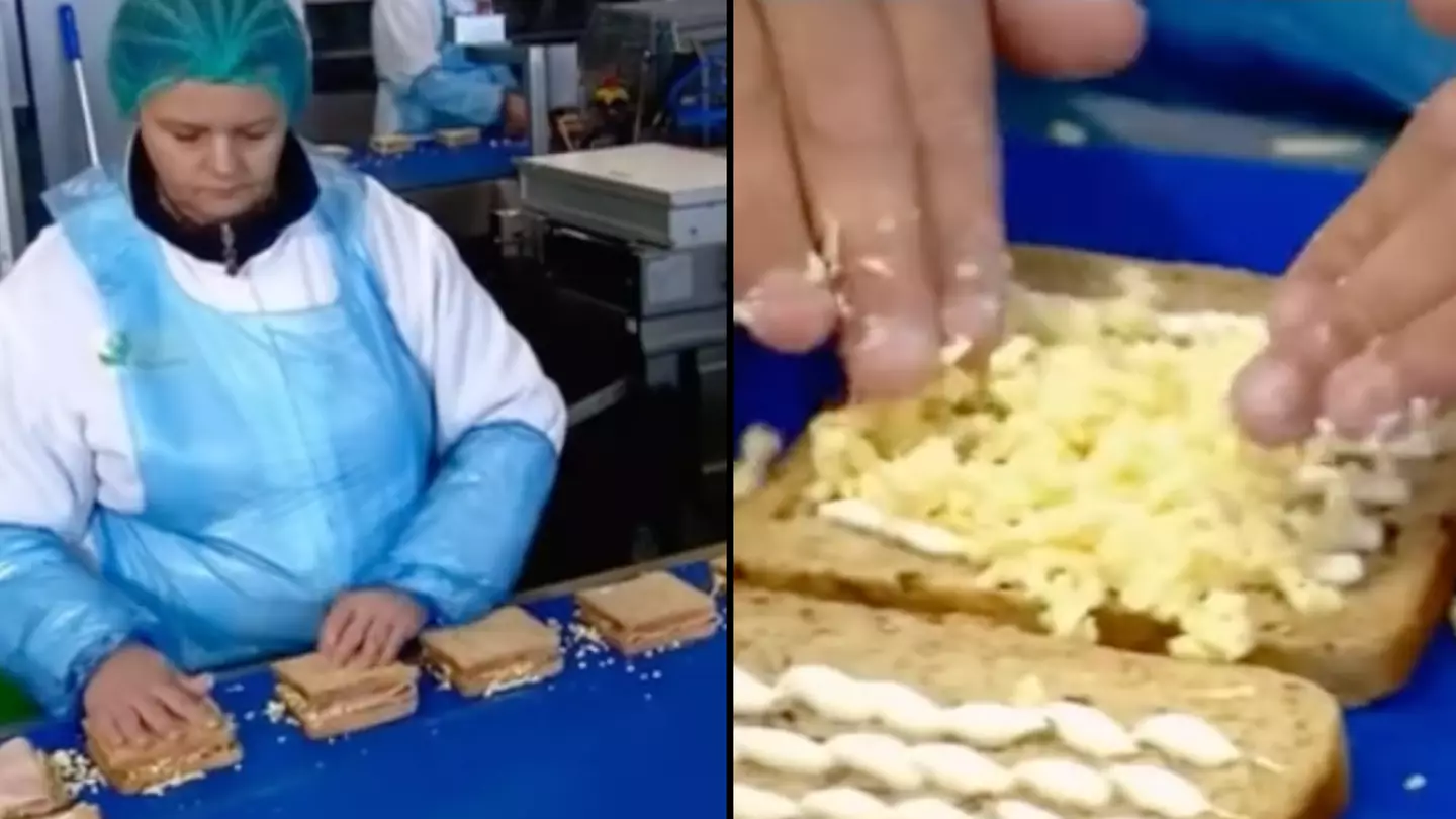 People say they will 'never eat meal deal sandwiches again' after seeing how they're made
