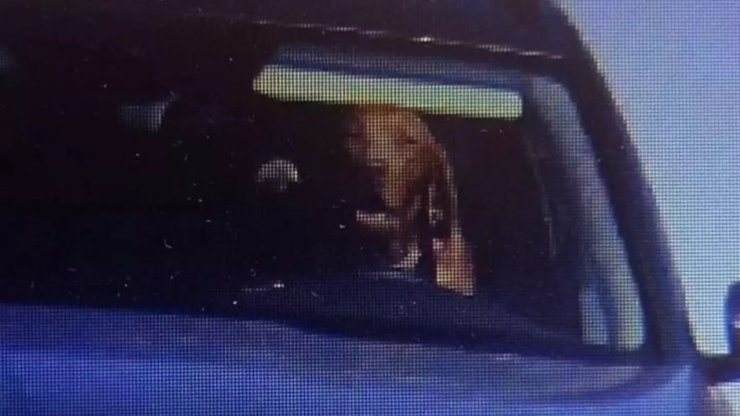 Driver fined after speed camera photo showed dog behind wheel of car