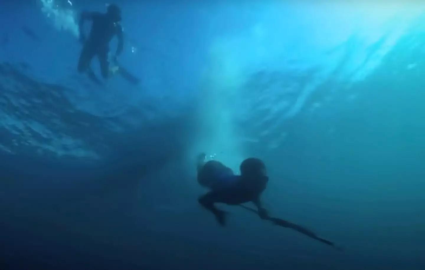 The Bajau tribe of Indonesia are not your average divers. (YouTube/BBC)