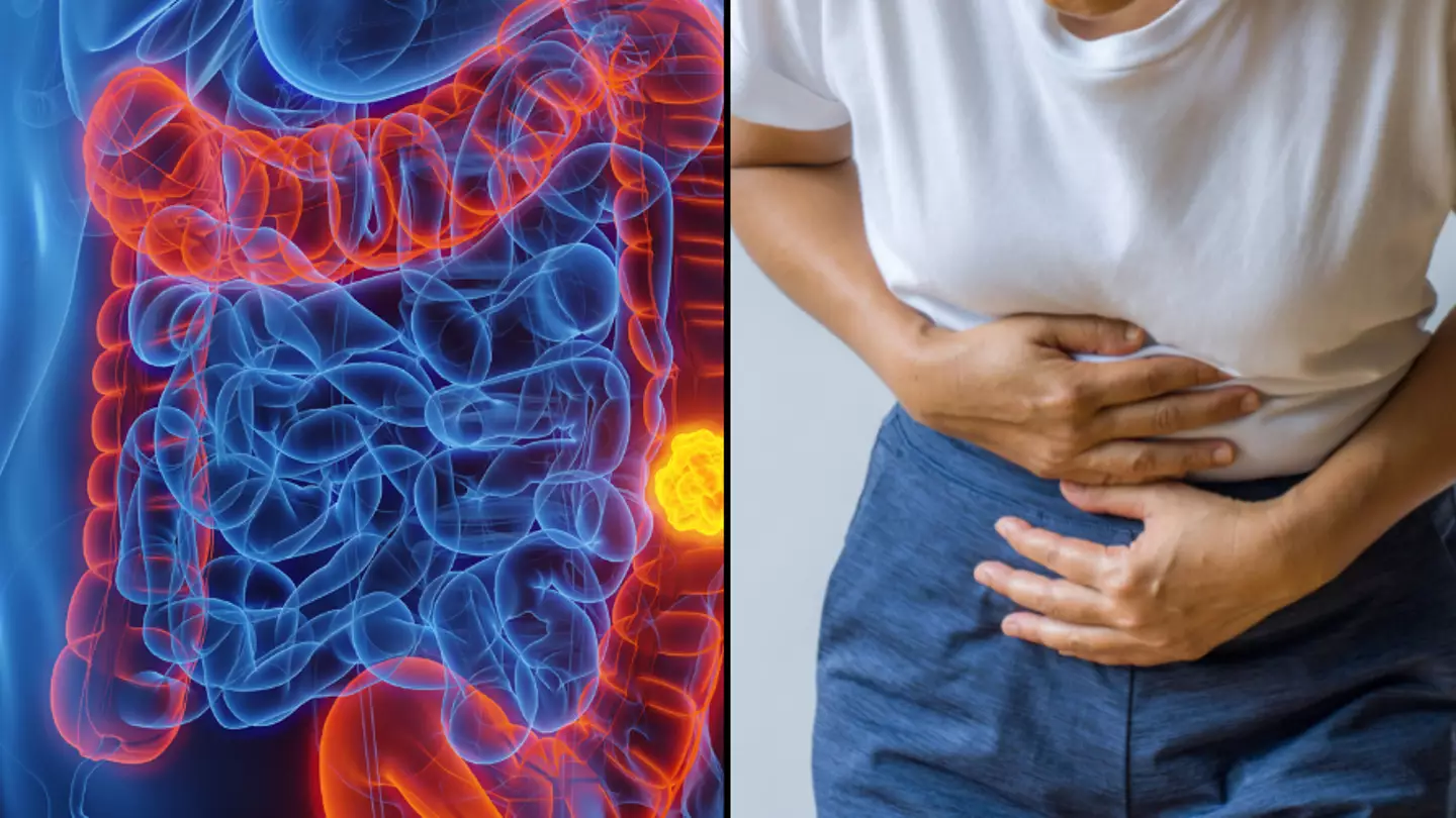 Symptoms of inflammatory bowel disease after scientists make major breakthrough in cause of it