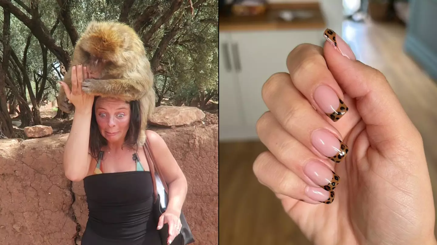 Woman 'almost loses finger' after monkey mistakes finger nail for peanut