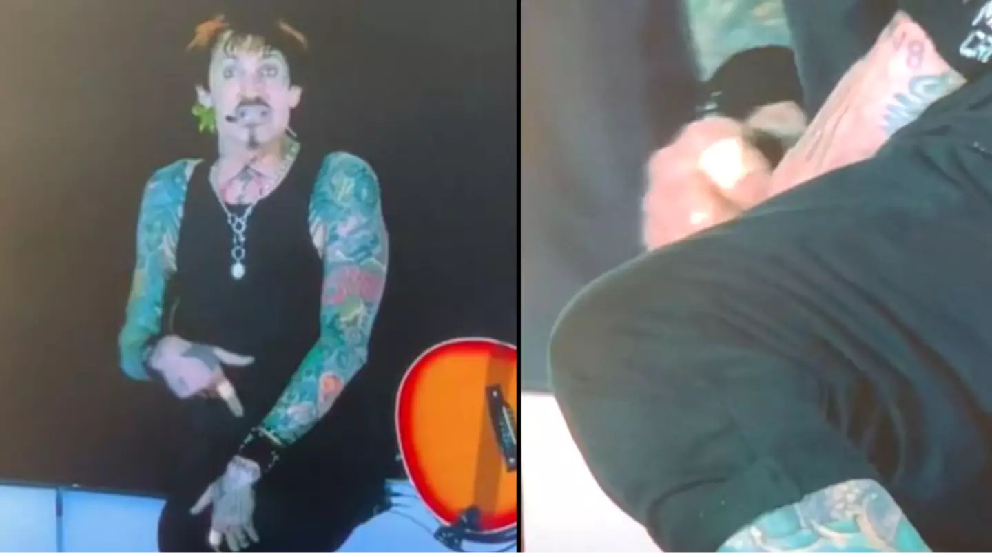 Tommy Lee ‘gets his weiner out’ on stage but it isn’t what you think