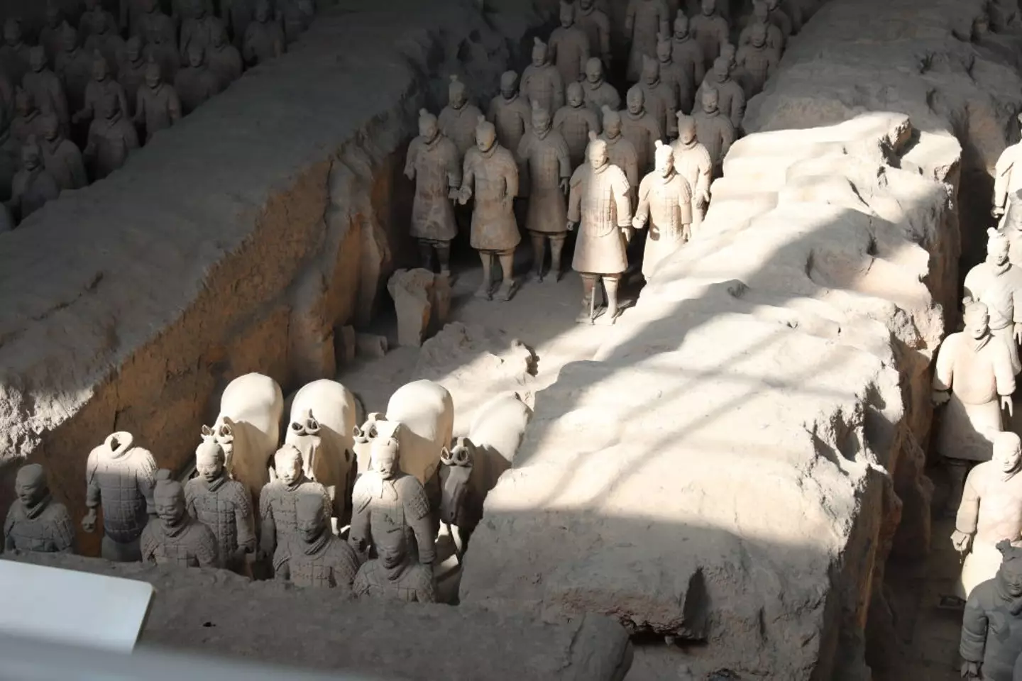 The figures are known as the terracotta warriors. (Charle He/Getty Images)