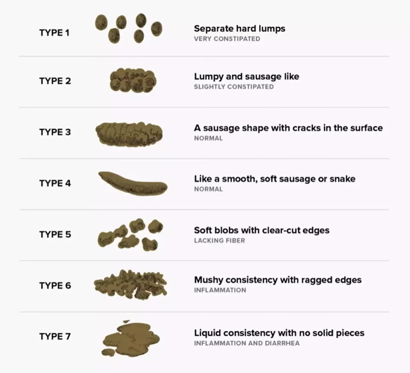 This is the Bristol Stool Scale, which shows what your poo has to say about your health. (Dr Kenneth Heaton)