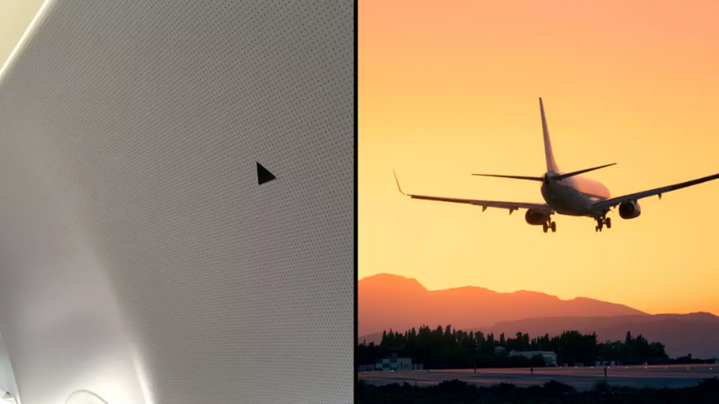 Hidden meaning behind black triangles you see in some planes