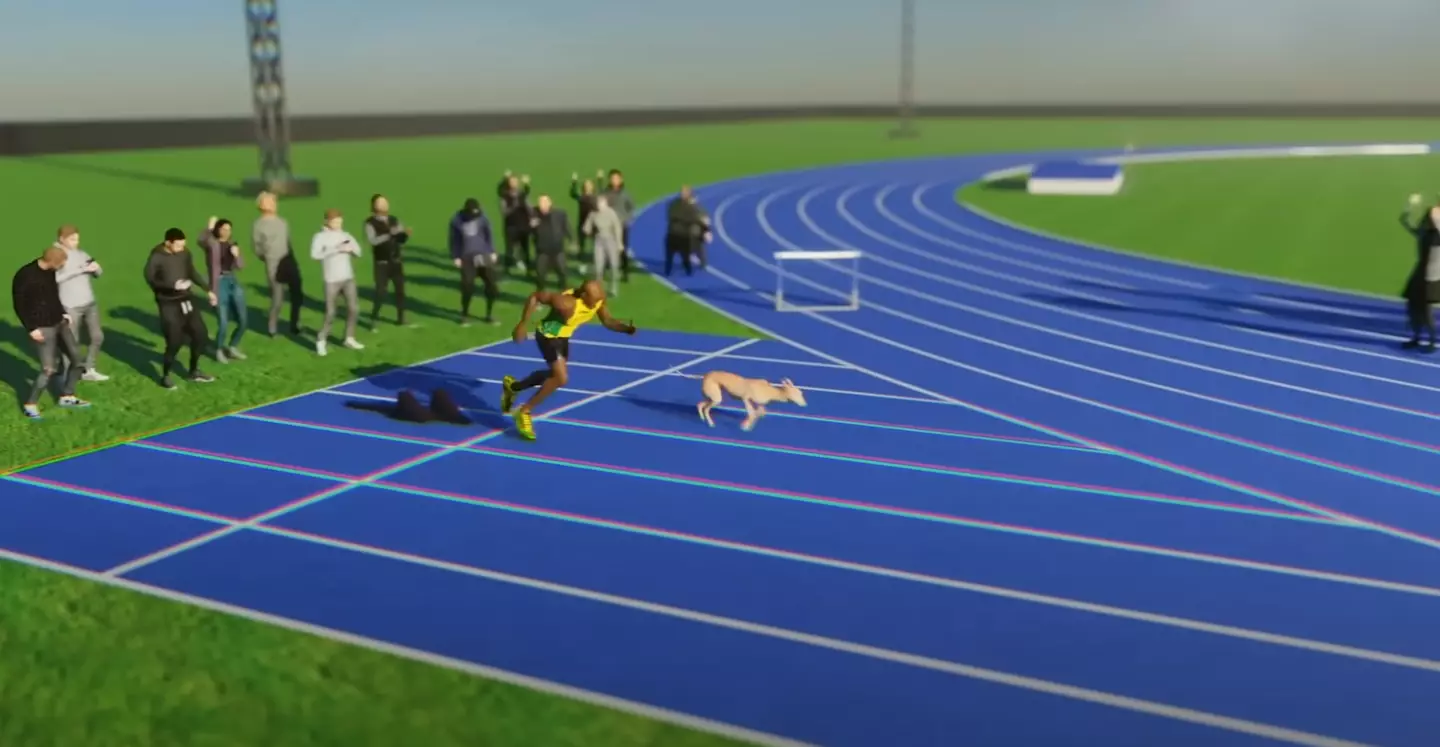 The fastest man vs the fastest dog, who wins? (YouTube/MotionAthlete)