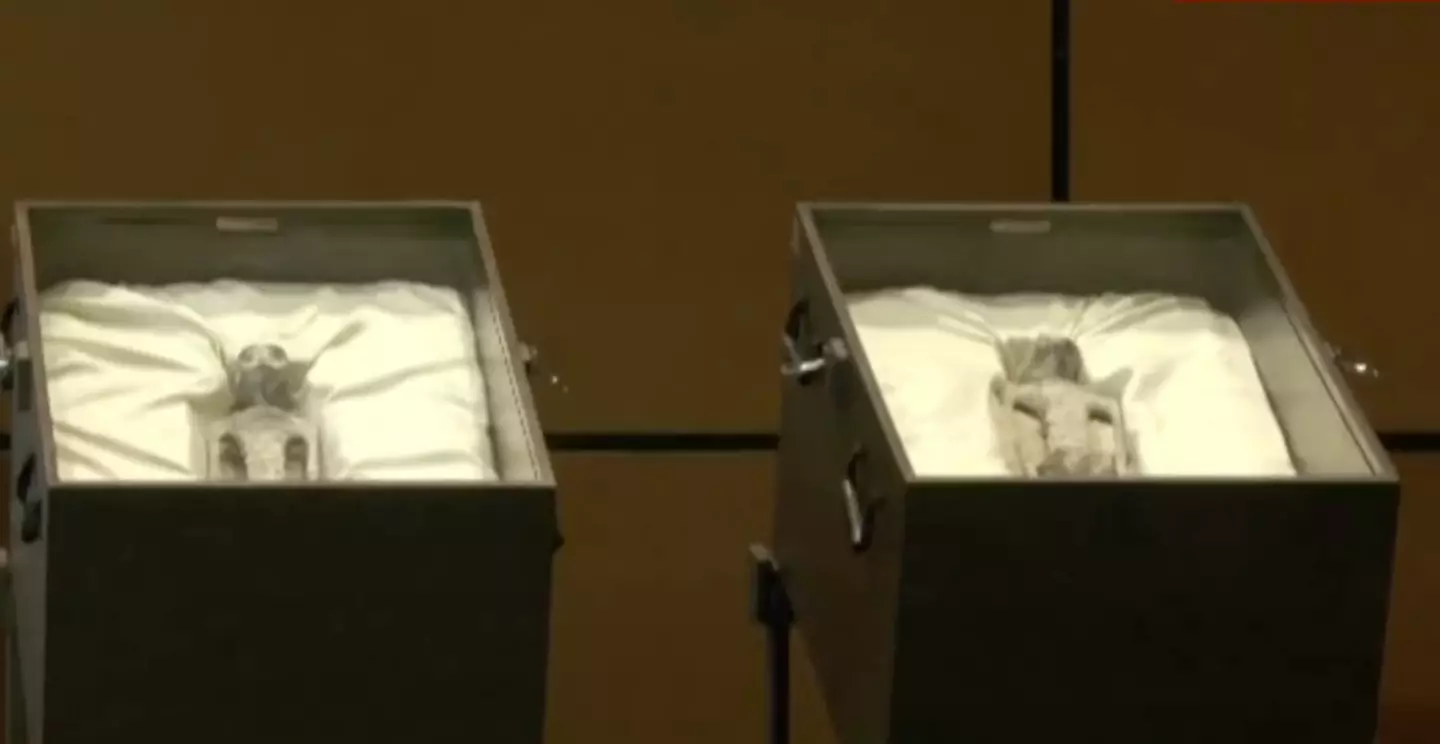 Two 'alien' corpses were presented to Mexican Congress earlier this week.