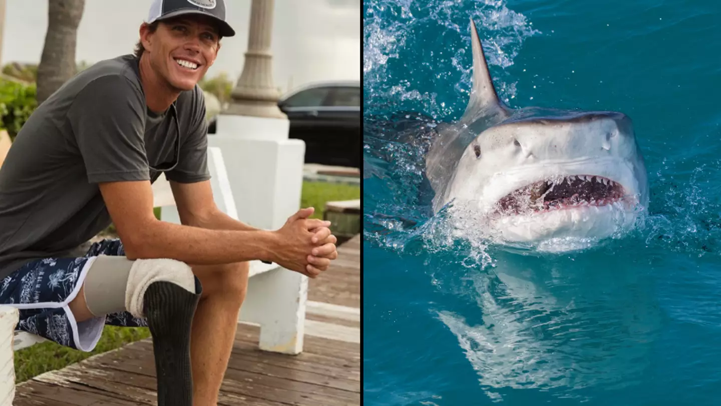 Man who ‘should’ve died’ after losing leg from shark attack reveals how to avoid one