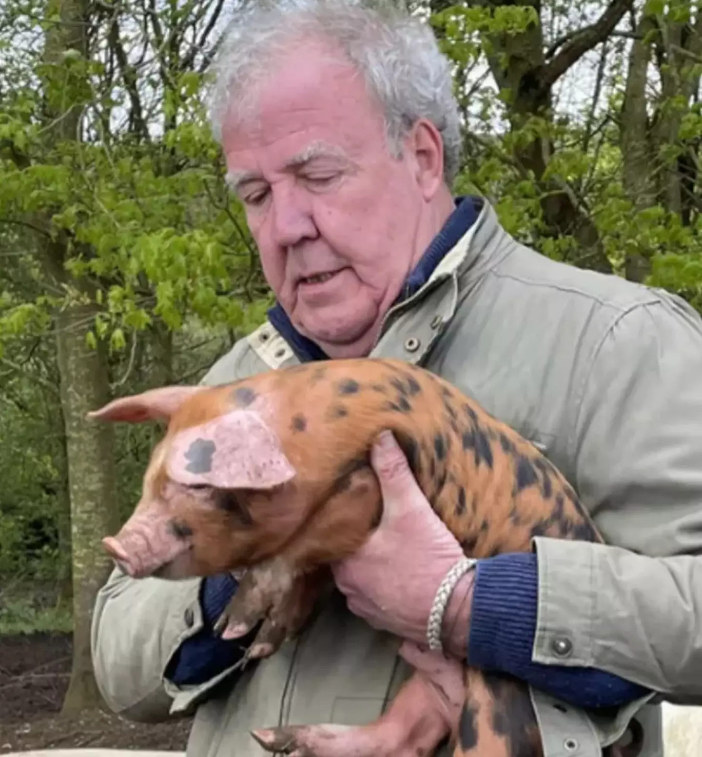 The newborn piglets are a big part of episode four of the show. (LADBible)