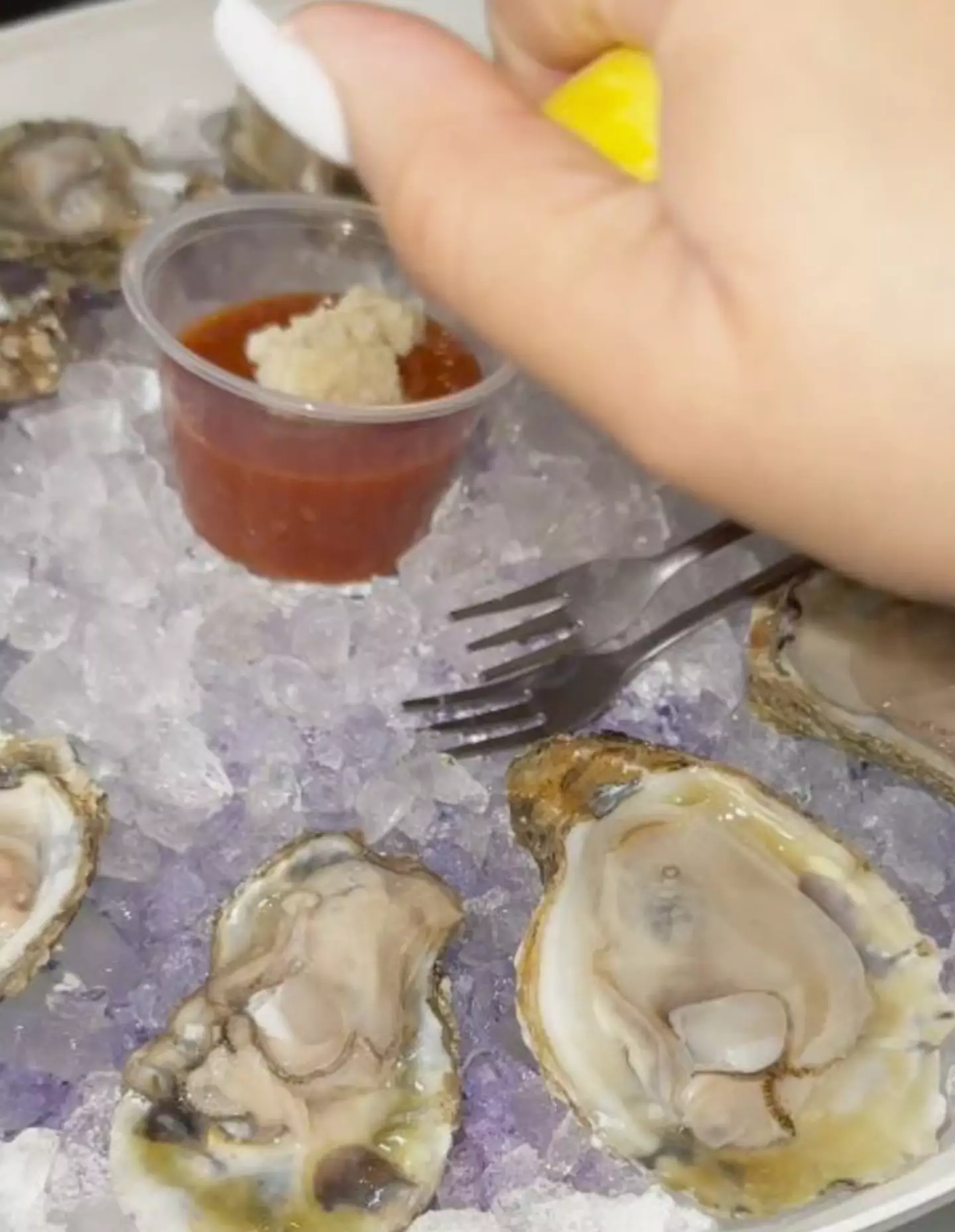 She managed to knock back an impressive 48 oysters in a single sitting.