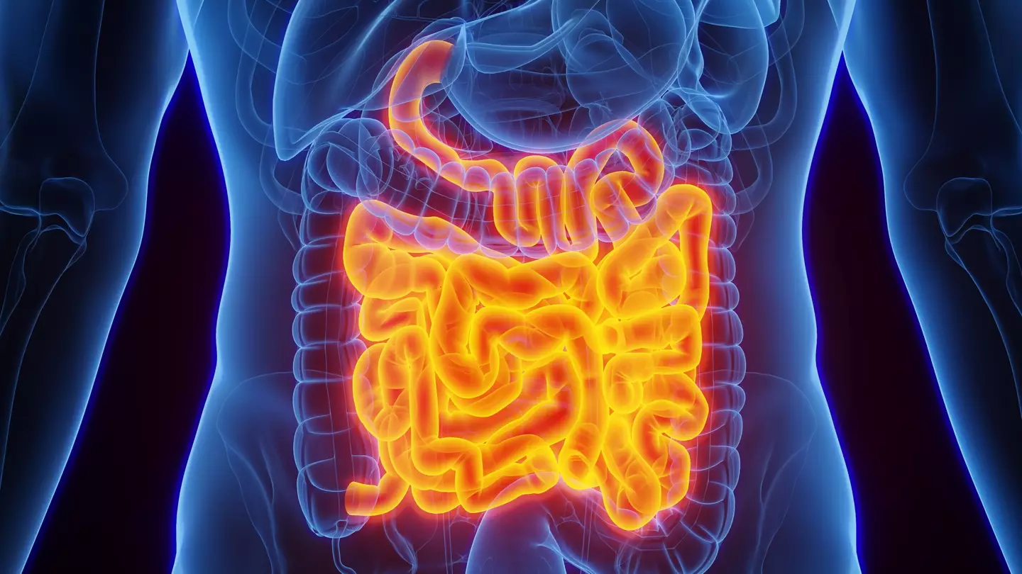 Your gut is connected to several systems in your body.(Getty Stock Photo) 