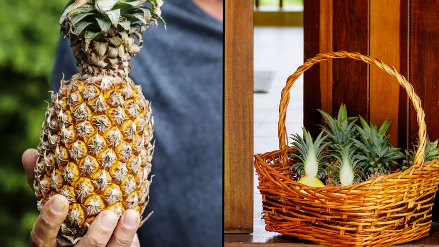Bloke mortified after realising what pineapple on doorstep meant