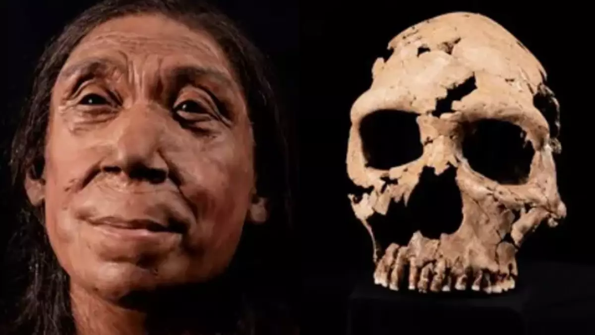 Extremely well-preserved Neanderthal skeleton found in 'Flower Funeral' cave