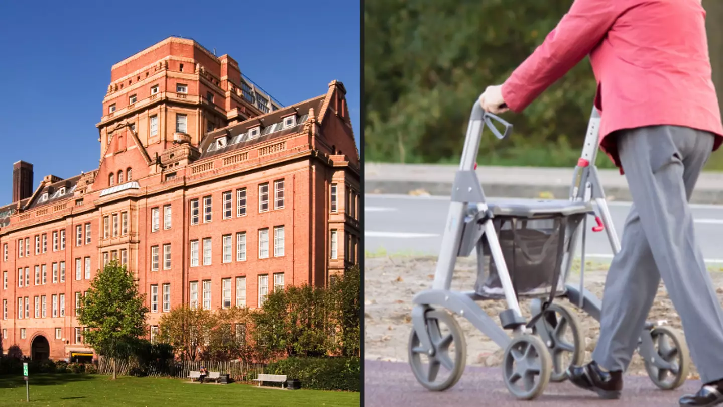 University staff told not to use words like 'elderly' or 'pensioner' because it's 'ageist'