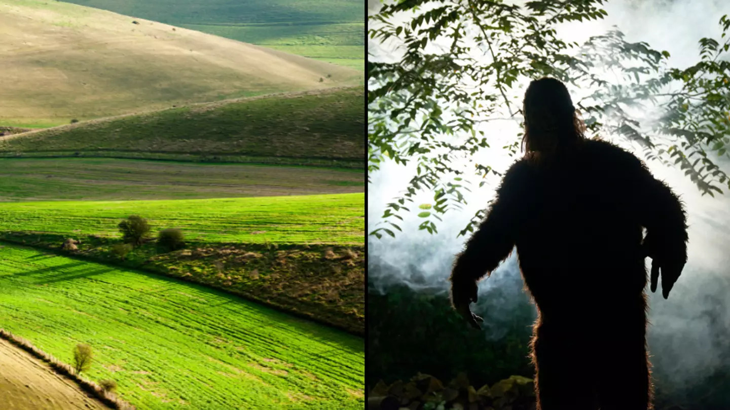 Fears UK Bigfoot stalking national park with huge clue creature 'cannot be human'