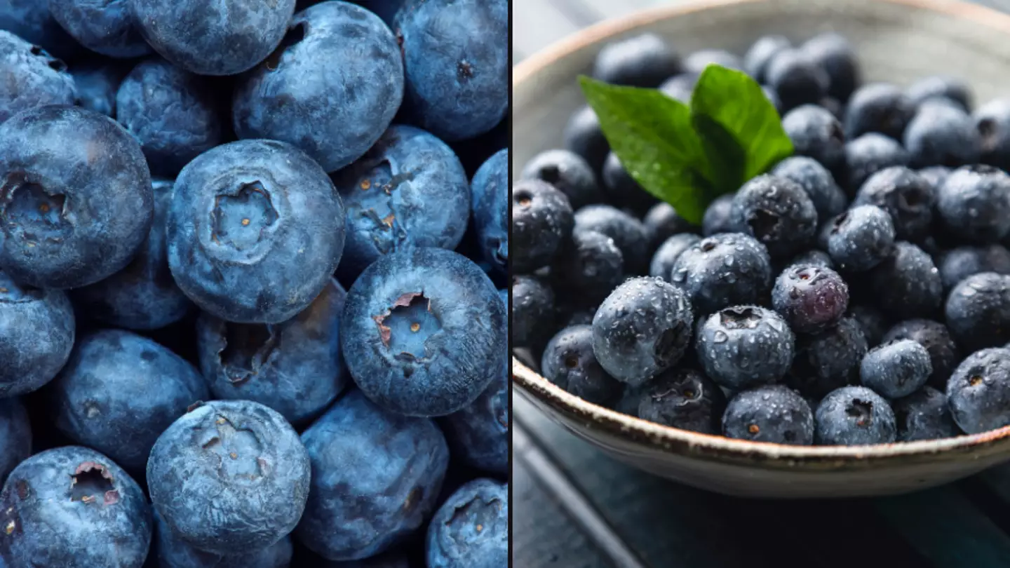People 'mind-blown' after finding out blueberries aren't actually blue