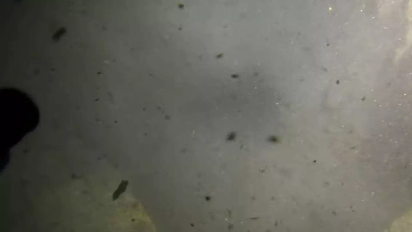 Footage taken by Young of a previous dive in the Santa Rosa Blue Hole where debris was dug away from the entrance. (YouTube/Mike Young)