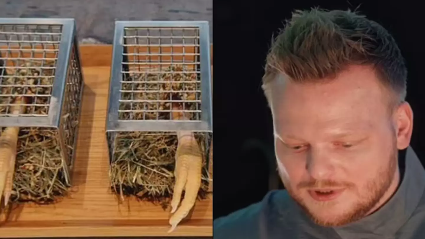 MasterChef viewers horrified at 'Silence of the lambs' dishes served up at Michelin star restaurant