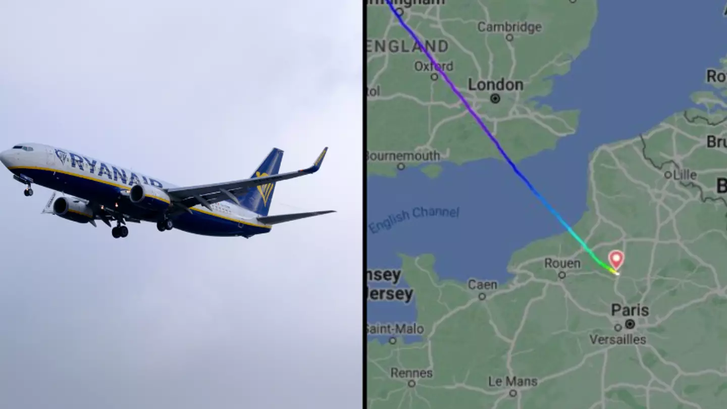 Brits ‘spare a thought’ for Ryanair passengers after flight gets diverted to Paris