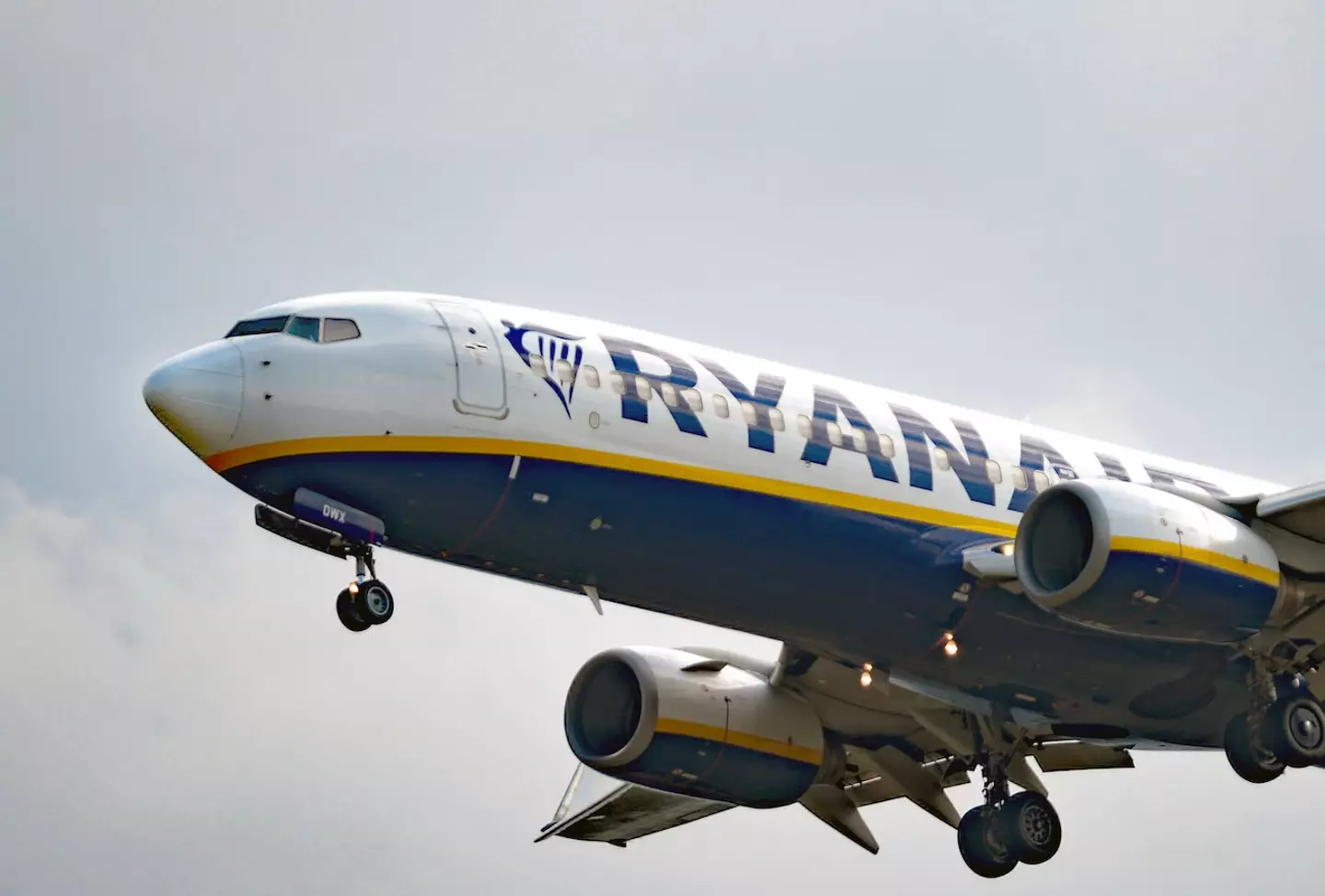 The government of the Balearic Islands has reportedly called for an urgent meeting with Ryanair after the airline allegedly tried to charge passengers who took cakes onboard.