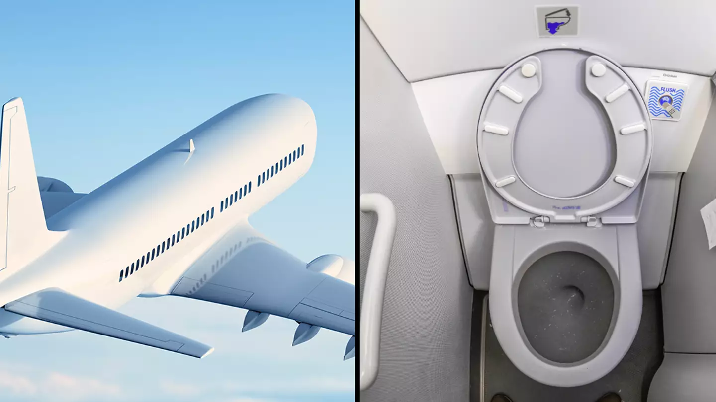 Everything that happens when you flush a toilet on an airplane