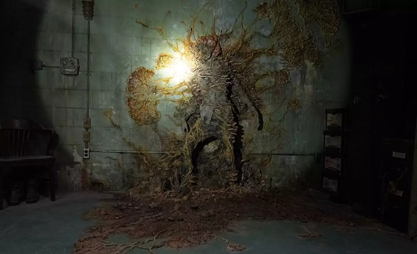 The spreading fungus is being described as 'The Last of Us Season 2' by people on Twitter. Credit:The Last of Us/IMDb