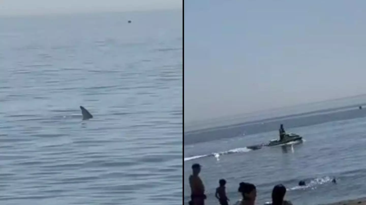 Terrified Brits flee as shark spotted swimming in shallow water in Spain