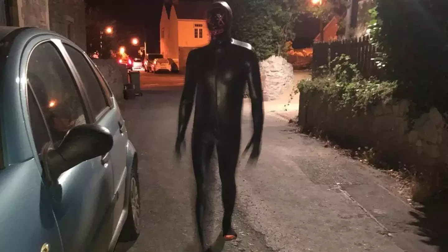A gimp previously caused chaos in Somerset.